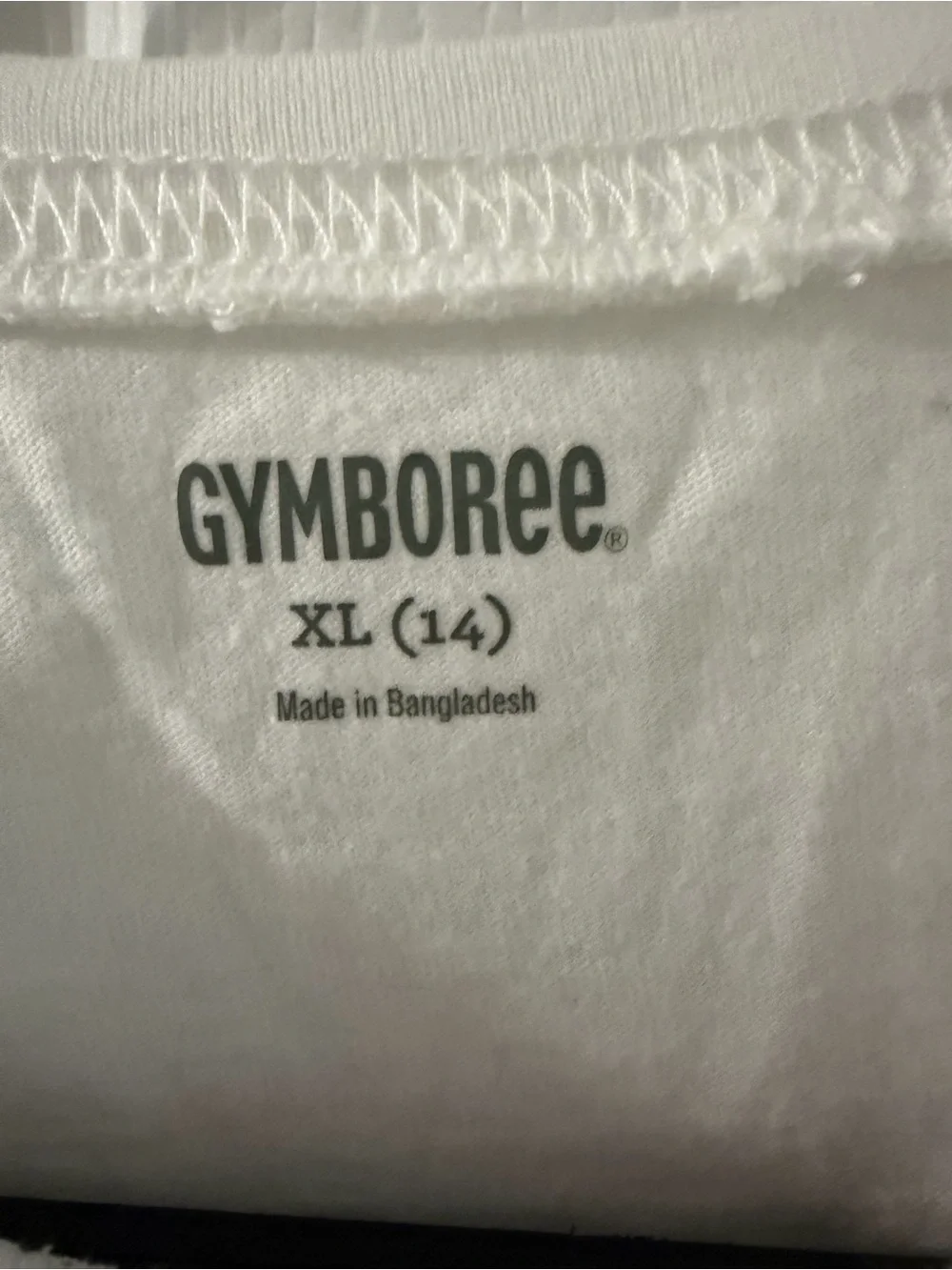 Gymboree White Girls Long Sleeve Tee with Owl Accent